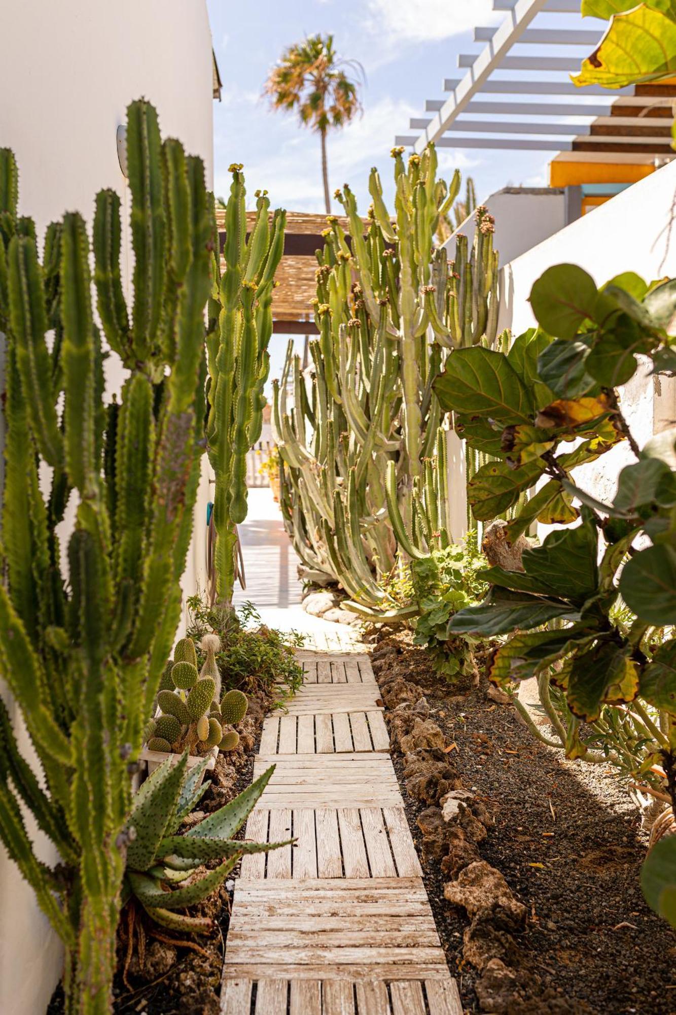 El Piloto By Best Holidays Fuerteventura Corralejo Exterior foto